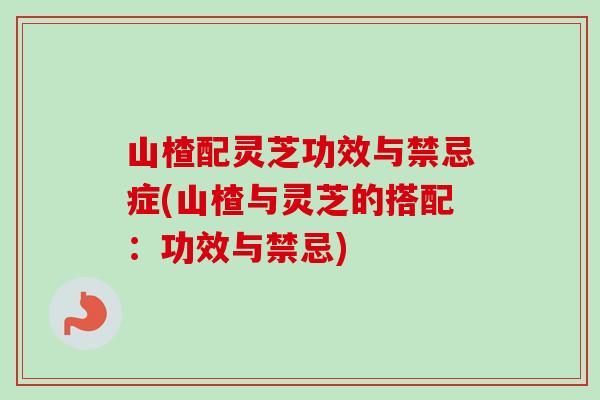 山楂配灵芝功效与禁忌症(山楂与灵芝的搭配：功效与禁忌)