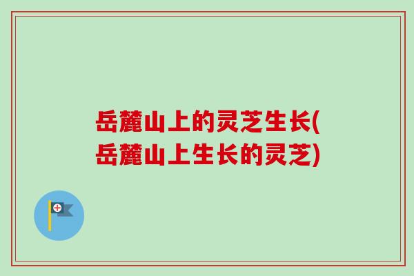 岳麓山上的灵芝生长(岳麓山上生长的灵芝)