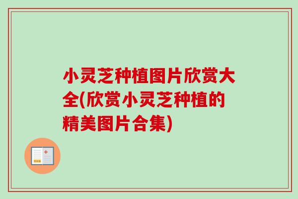 小灵芝种植图片欣赏大全(欣赏小灵芝种植的精美图片合集) 小灵芝种植图片欣赏大全(欣赏小灵芝种植的精美图片合集)