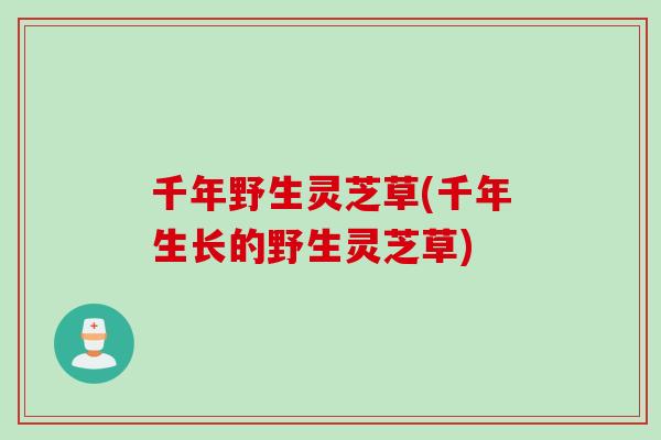 千年野生灵芝草(千年生长的野生灵芝草)