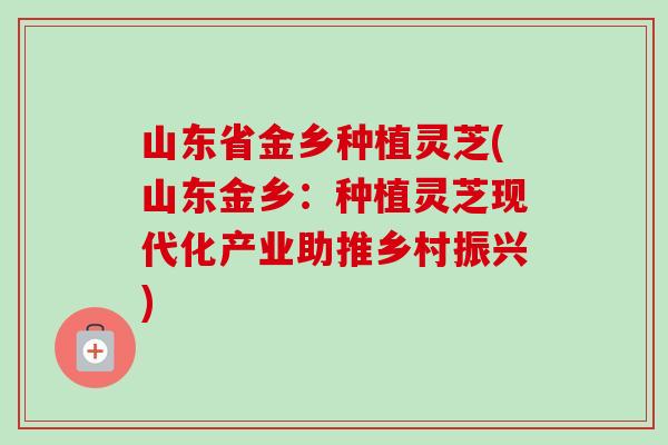 山东省金乡种植灵芝(山东金乡：种植灵芝现代化产业助推乡村振兴)