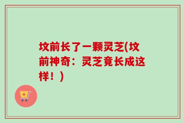 坟前长了一颗灵芝(坟前神奇:灵芝竟长成这样!) 坟前长了一颗灵芝(坟前神奇:灵芝竟长成这样!)