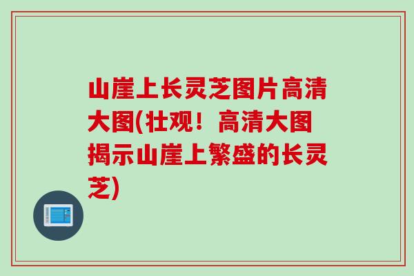 山崖上长灵芝图片高清大图(壮观！高清大图揭示山崖上繁盛的长灵芝)