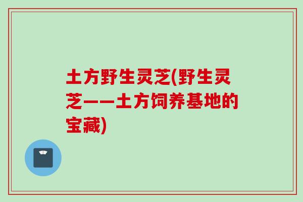土方野生灵芝(野生灵芝——土方饲养基地的宝藏) 土方野生灵芝(野生灵芝——土方饲养基地的宝藏)