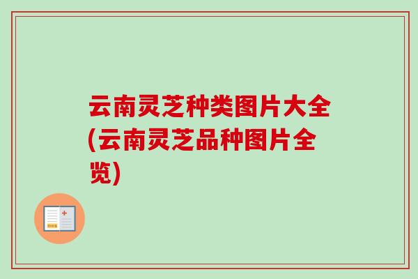 云南灵芝种类图片大全(云南灵芝品种图片全览) 云南灵芝种类图片大全(云南灵芝品种图片全览)