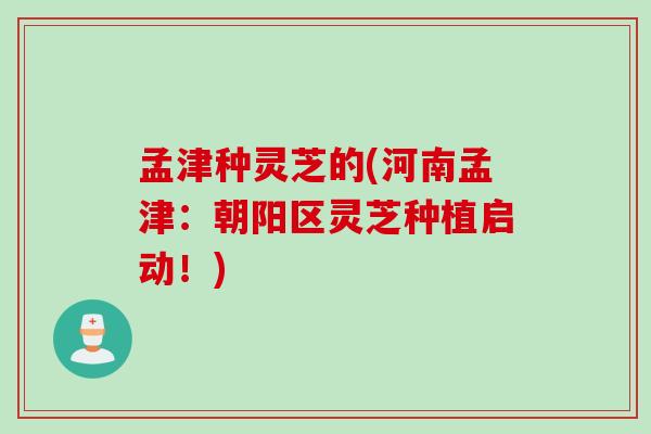 孟津种灵芝的(河南孟津：朝阳区灵芝种植启动！)