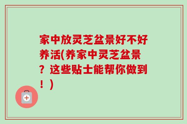 家中放灵芝盆景好不好养活(养家中灵芝盆景？这些贴士能帮你做到！)