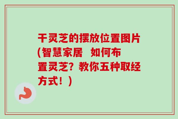 干灵芝的摆放位置图片(智慧家居  如何布置灵芝？教你五种取经方式！)