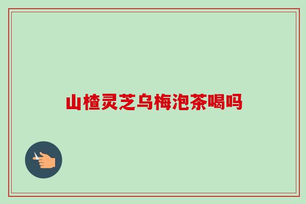 山楂灵芝乌梅泡茶喝吗