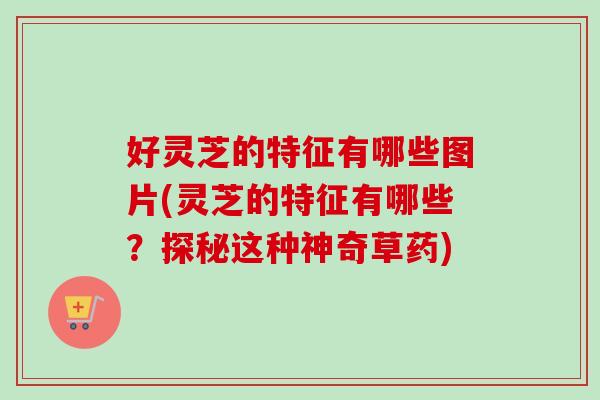 好灵芝的特征有哪些图片(灵芝的特征有哪些？探秘这种神奇草药)