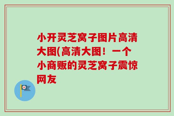 小开灵芝窝子图片高清大图(高清大图！一个小商贩的灵芝窝子震惊网友