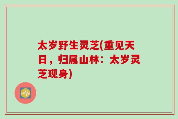 太岁野生灵芝(重见天日,归属山林:太岁灵芝现身) 太岁野生灵芝(重见天日,归属山林:太岁灵芝现身)