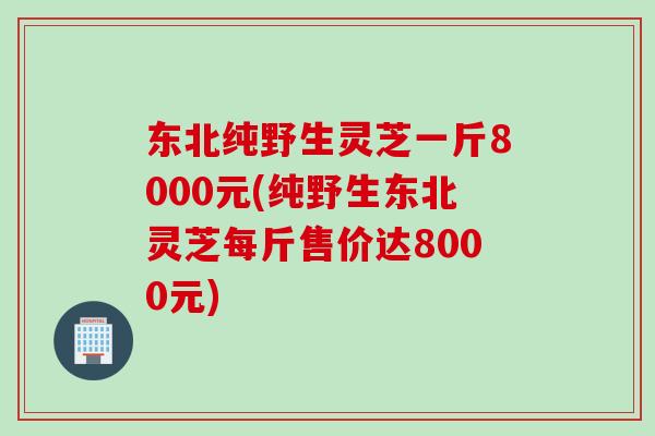 东北纯野生灵芝一斤8000元(纯野生东北灵芝每斤售价达8000元)
