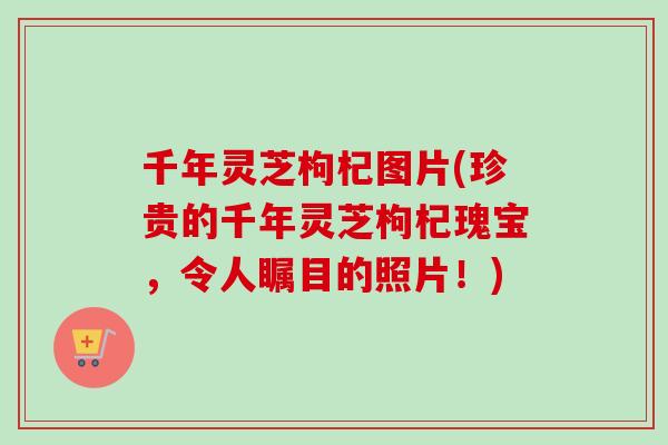 千年灵芝枸杞图片(珍贵的千年灵芝枸杞瑰宝，令人瞩目的照片！)