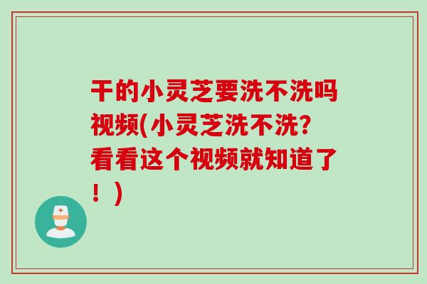 干的小灵芝要洗不洗吗视频(小灵芝洗不洗？看看这个视频就知道了！)