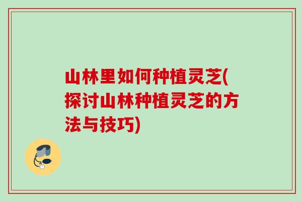 山林里如何种植灵芝(探讨山林种植灵芝的方法与技巧)
