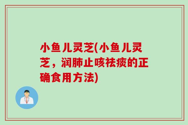 小鱼儿灵芝(小鱼儿灵芝，润肺止咳祛痰的正确食用方法)