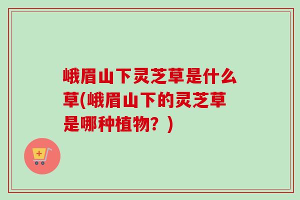 峨眉山下灵芝草是什么草(峨眉山下的灵芝草是哪种植物？)