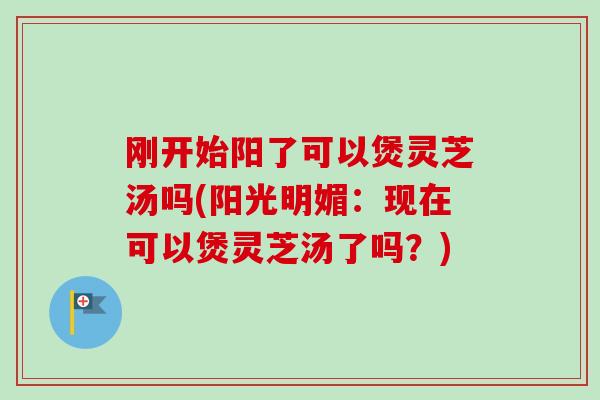 刚开始阳了可以煲灵芝汤吗(阳光明媚：现在可以煲灵芝汤了吗？)