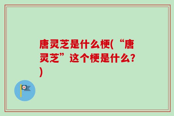 唐灵芝是什么梗(“唐灵芝”这个梗是什么？)