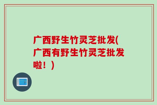 广西野生竹灵芝批发(广西有野生竹灵芝批发啦！)