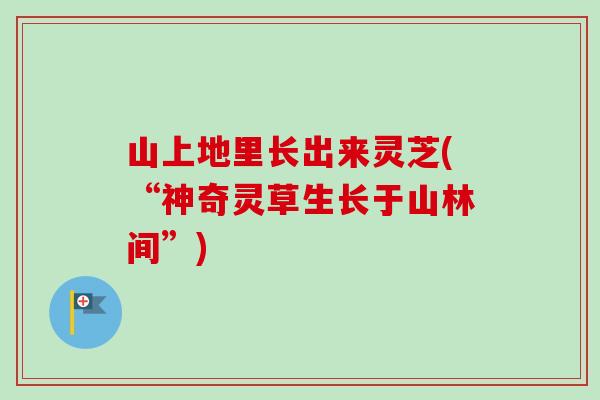山上地里长出来灵芝(“神奇灵草生长于山林间”)