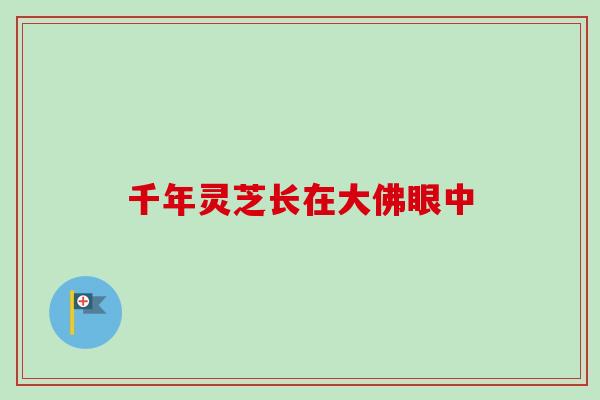 千年灵芝长在大佛眼中