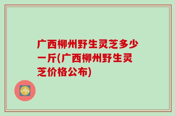 广西柳州野生灵芝多少一斤(广西柳州野生灵芝价格公布)