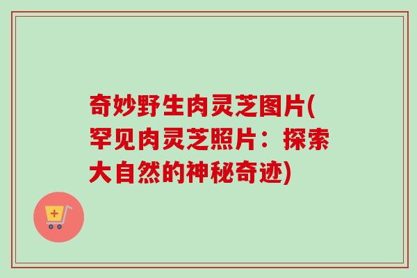 奇妙野生肉灵芝图片(罕见肉灵芝照片：探索大自然的神秘奇迹)