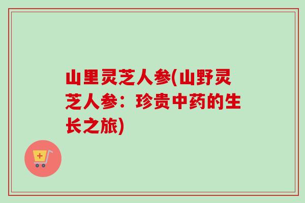 山里灵芝人参(山野灵芝人参：珍贵中药的生长之旅)