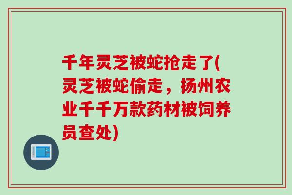 千年灵芝被蛇抢走了(灵芝被蛇偷走,扬州农业千千万款药材被饲养员查处) 千年灵芝被蛇抢走了(灵芝被蛇偷走,扬州农业千千万款药材被饲养员查处)
