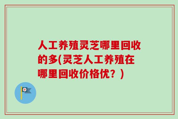 人工养殖灵芝哪里回收的多(灵芝人工养殖在哪里回收价格优？)