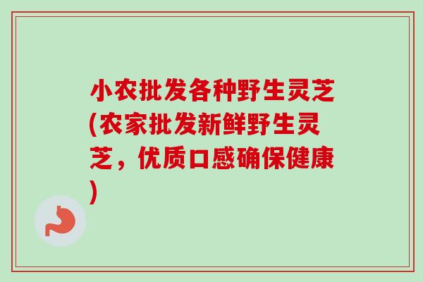 小农批发各种野生灵芝(农家批发新鲜野生灵芝，优质口感确保健康)