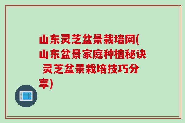 山东灵芝盆景栽培网(山东盆景家庭种植秘诀 灵芝盆景栽培技巧分享)