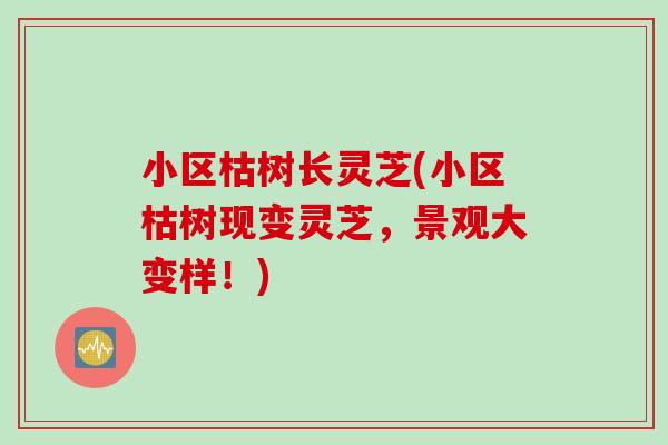 小区枯树长灵芝(小区枯树现变灵芝，景观大变样！)