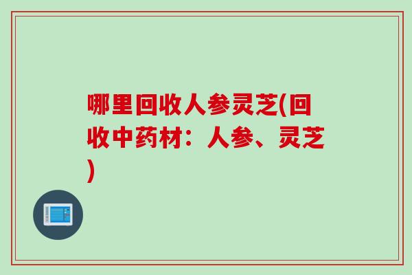 哪里回收人参灵芝(回收中药材：人参、灵芝)