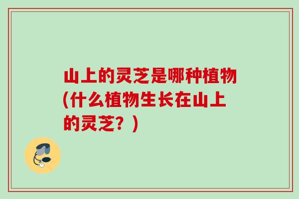 山上的灵芝是哪种植物(什么植物生长在山上的灵芝？)