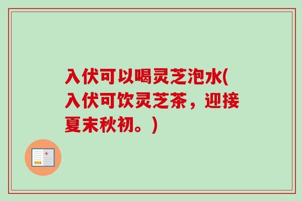 入伏可以喝灵芝泡水(入伏可饮灵芝茶，迎接夏末秋初。)