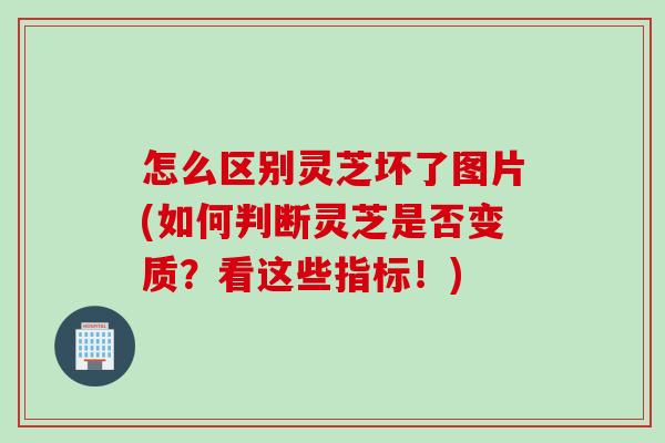 怎么区别灵芝坏了图片(如何判断灵芝是否变质？看这些指标！)
