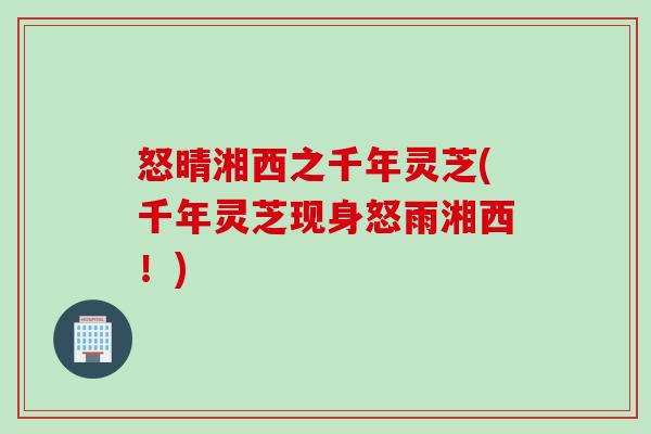 怒晴湘西之千年灵芝(千年灵芝现身怒雨湘西！)