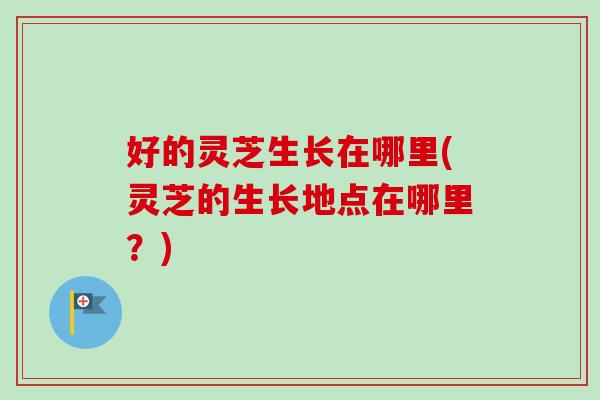 好的灵芝生长在哪里(灵芝的生长地点在哪里？)