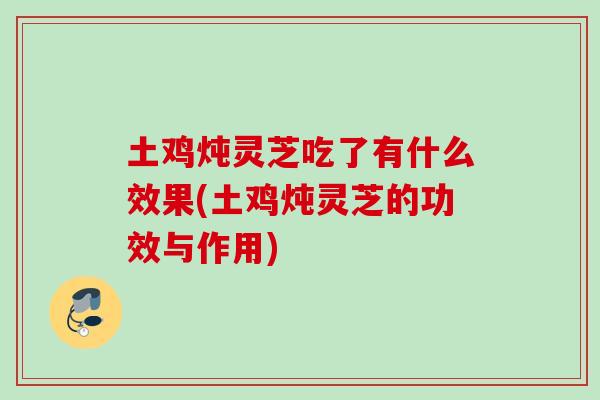 土鸡炖灵芝吃了有什么效果(土鸡炖灵芝的功效与作用)