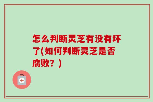 怎么判断灵芝有没有坏了(如何判断灵芝是否腐败？)