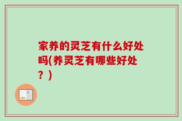 家养的灵芝有什么好处吗(养灵芝有哪些好处？)