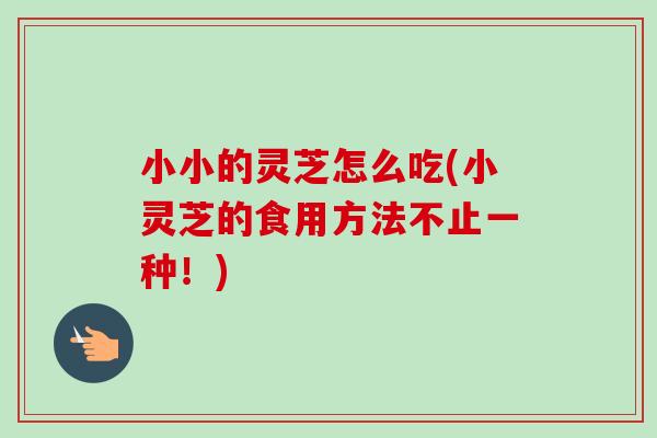 小小的灵芝怎么吃(小灵芝的食用方法不止一种！)