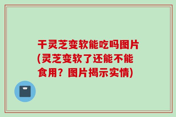 干灵芝变软能吃吗图片(灵芝变软了还能不能食用?图片揭示实情) 干灵芝变软能吃吗图片(灵芝变软了还能不能食用?图片揭示实情)