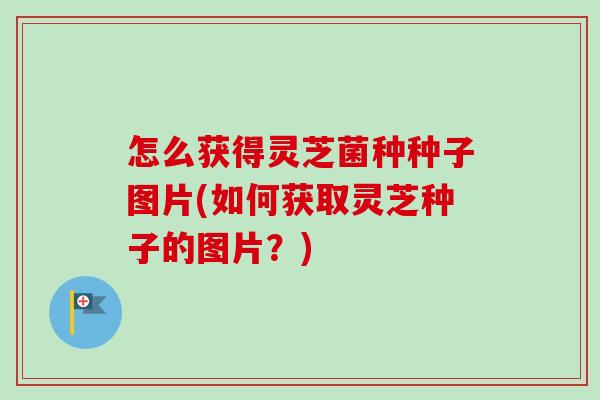 怎么获得灵芝菌种种子图片(如何获取灵芝种子的图片?) 怎么获得灵芝菌种种子图片(如何获取灵芝种子的图片?)