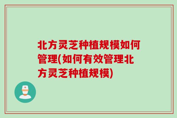 北方灵芝种植规模如何管理(如何有效管理北方灵芝种植规模)