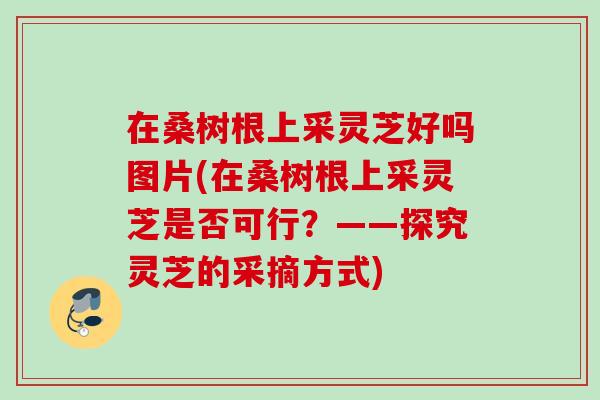 在桑树根上采灵芝好吗图片(在桑树根上采灵芝是否可行？——探究灵芝的采摘方式)