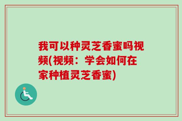 我可以种灵芝香蜜吗视频(视频:学会如何在家种植灵芝香蜜) 我可以种灵芝香蜜吗视频(视频:学会如何在家种植灵芝香蜜)